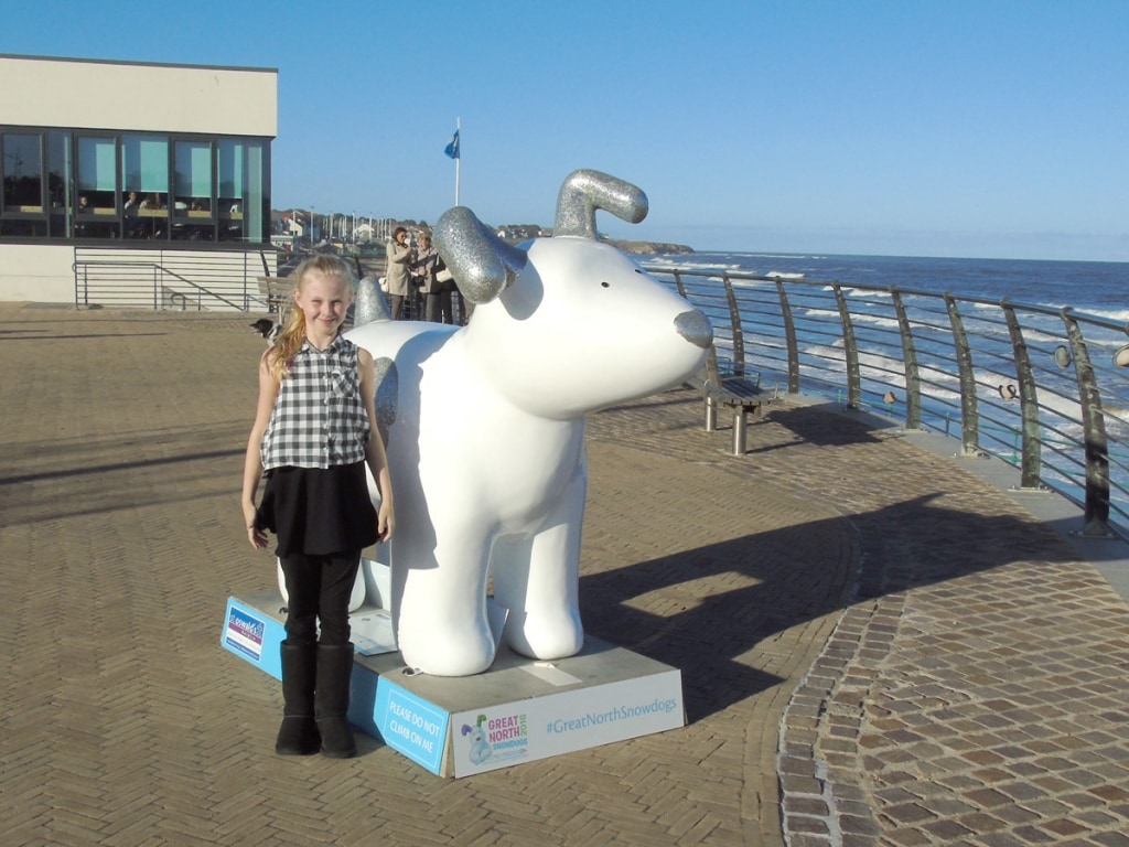 Great North Snowdogs - Sparky