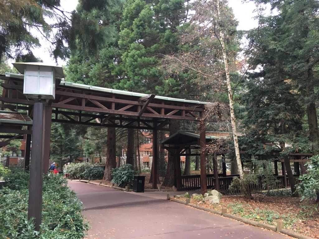 Sequoia Lodge Grounds