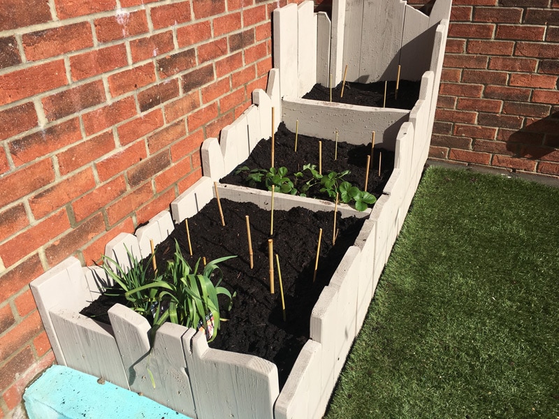 Vegetable Patch by Beginners
